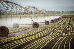 Farm Irrigation Nick Rains Corbis Documentary Getty Images 523643366 5e42ed633d4ed Farm Irrigation Nick Rains Corbis Documentary Getty Images 523643366 5e42ed633d4ed