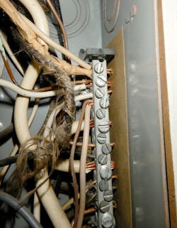 Nec Whats Wrong Here 0320 2 Nec Whats Wrong Here 0320 2