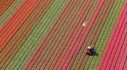 Flower Farm Peter Adams Ston Getty Images 170389387