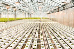 Dreamstime M 147200218 5ebbfae63652d Dreamstime M 147200218 5ebbfae63652d