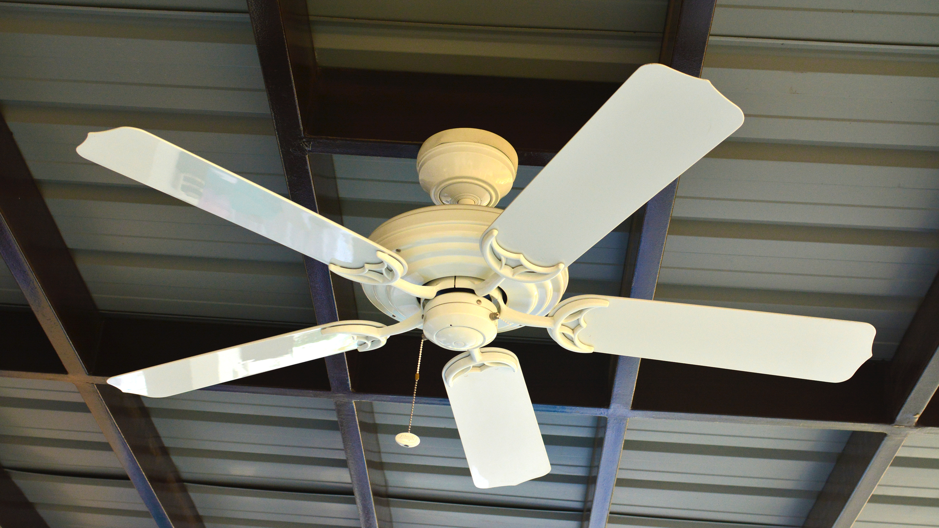 Dreamstime M 51564433 5eeb72060931b