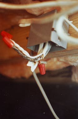 Photo 3. This image identifies the junction box found with the severed ground wire. Note the red wire-nut on the shortest wire, which is ground. Photo 3. This image identifies the junction box found with the severed ground wire. Note the red wire-nut on the shortest wire, which is ground.