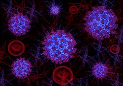 Dreamstime M 176794207 5f3402244cf90 Dreamstime M 176794207 5f3402244cf90