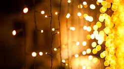 © Marina Rodionova Dreamstime com
