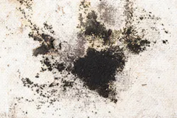 Black Mold On White Wall Dreamstime Xxl 161046505 5f7c6bb4f3569