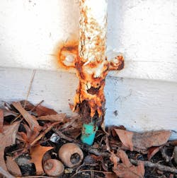 Illustrated Catastrophes Fig 2 December 2020 Illustrated Catastrophes Fig 2 December 2020