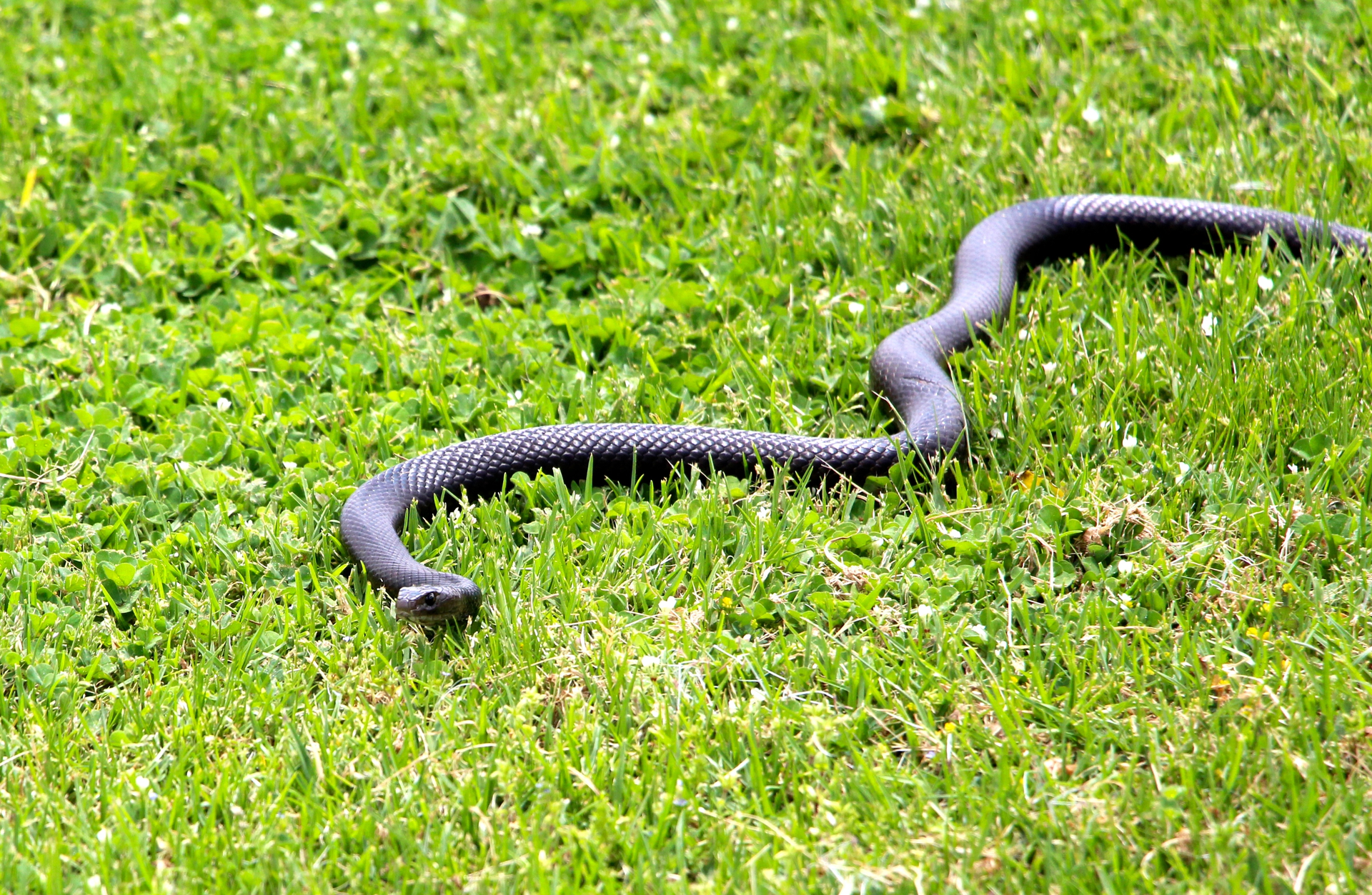 Id 61446761 Neil Denize Dreamstime com 6009c1d6d4f0d