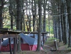 Illustrated Catastrophe Photo 2 February 2021 Illustrated Catastrophe Photo 2 February 2021