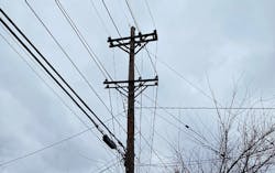 Promo Photo Forensic Casebook 0521 608a0e9759b20 Promo Photo Forensic Casebook 0521 608a0e9759b20