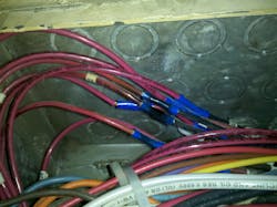 Img 20101105 104712 6091ad062a0af Img 20101105 104712 6091ad062a0af