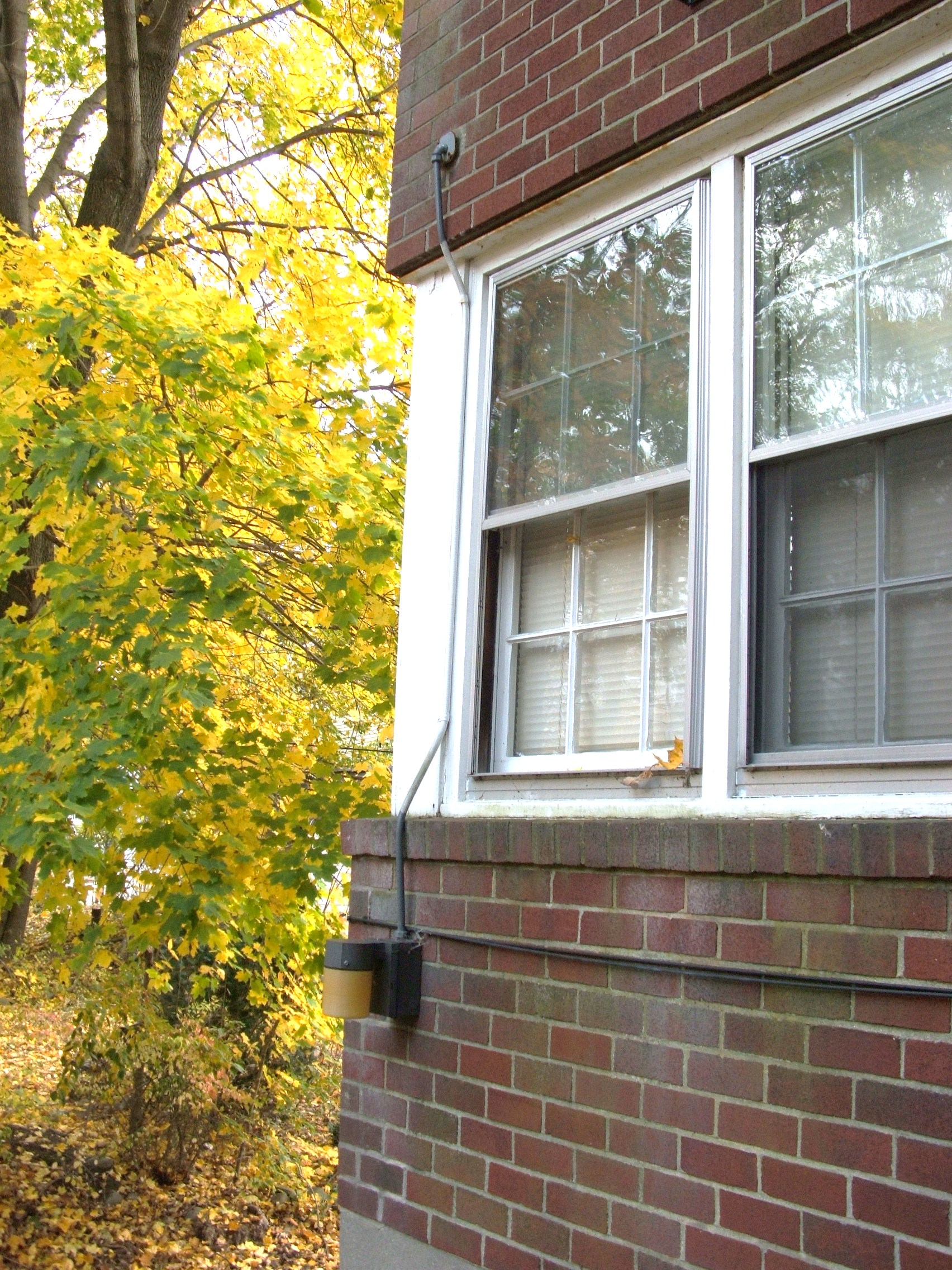 Code Watch1 60ba5c99e4f24