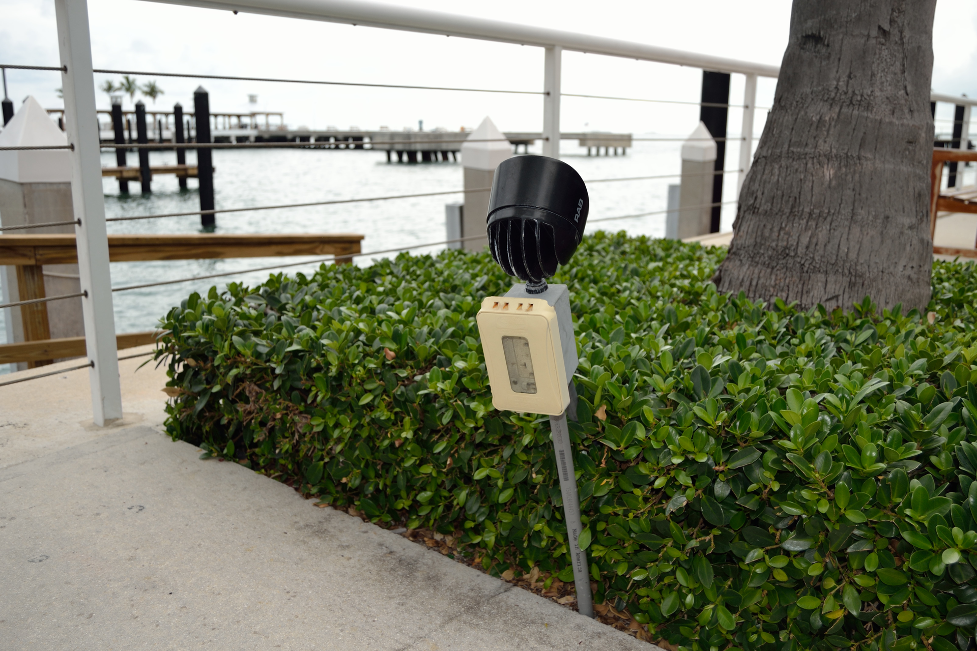 Sept Wwh 61266bf0471d1