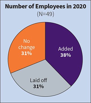Fig. 15. The number of Top 50 companies adding headcount in 2019 held strong at 77%; however, that number plummeted to 38% in 2020. Similarly, whereas only 2% of respondents laid off employees in 2019, 31% of respondents reported doing so in 2020.