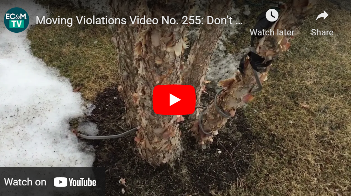 Mv 1 19 22 61e83512c840d