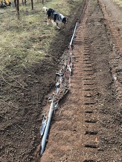 Illustrated Catastrophe 2 X Illustrated Catastrophe 2 X