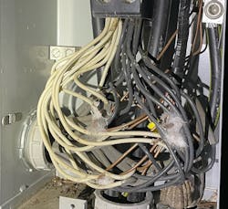 Illustrated Catastrophe Promo 6218fa76b4e3c Illustrated Catastrophe Promo 6218fa76b4e3c