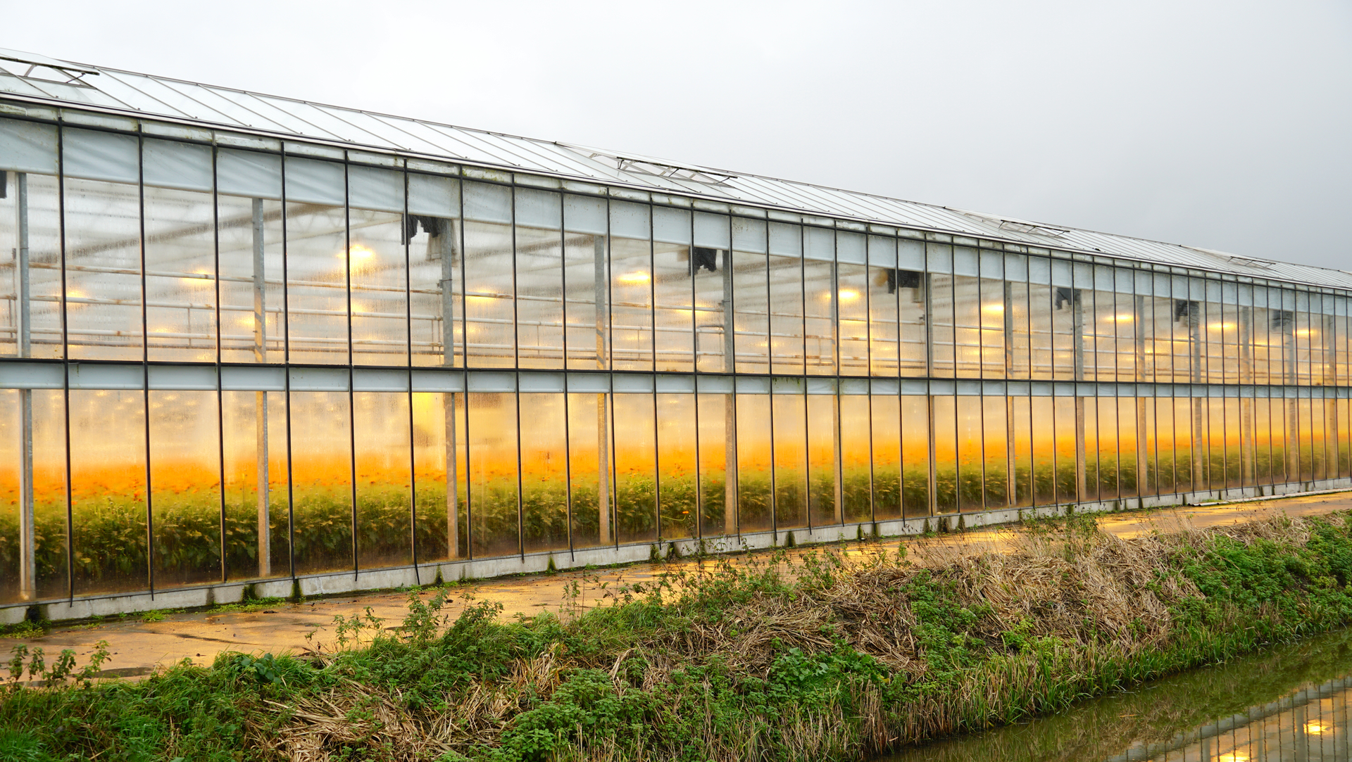 Dreamstime M 204648598 6203e127d3951