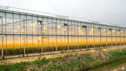 Dreamstime M 204648598 6203e127d3951 Dreamstime M 204648598 6203e127d3951