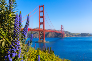 The Golden Gate Bridge in San Fransisco, California