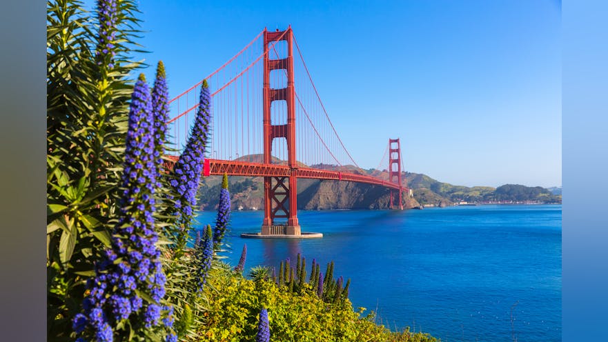 The Top 5 Highest Paying States For Electrical Engineers 2021 EC M The Top 5 Highest Paying States For Electrical Engineers 2021 EC M