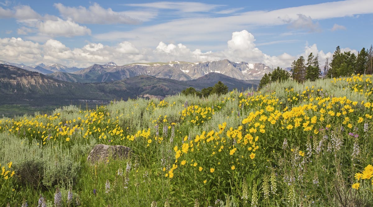 The Top 5 Highest Paying States For Electrical Engineers 2020 EC M the-top-5-highest-paying-states-for-electrical-engineers-2020-ec-m