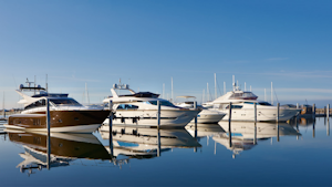 boats lined up in a marina