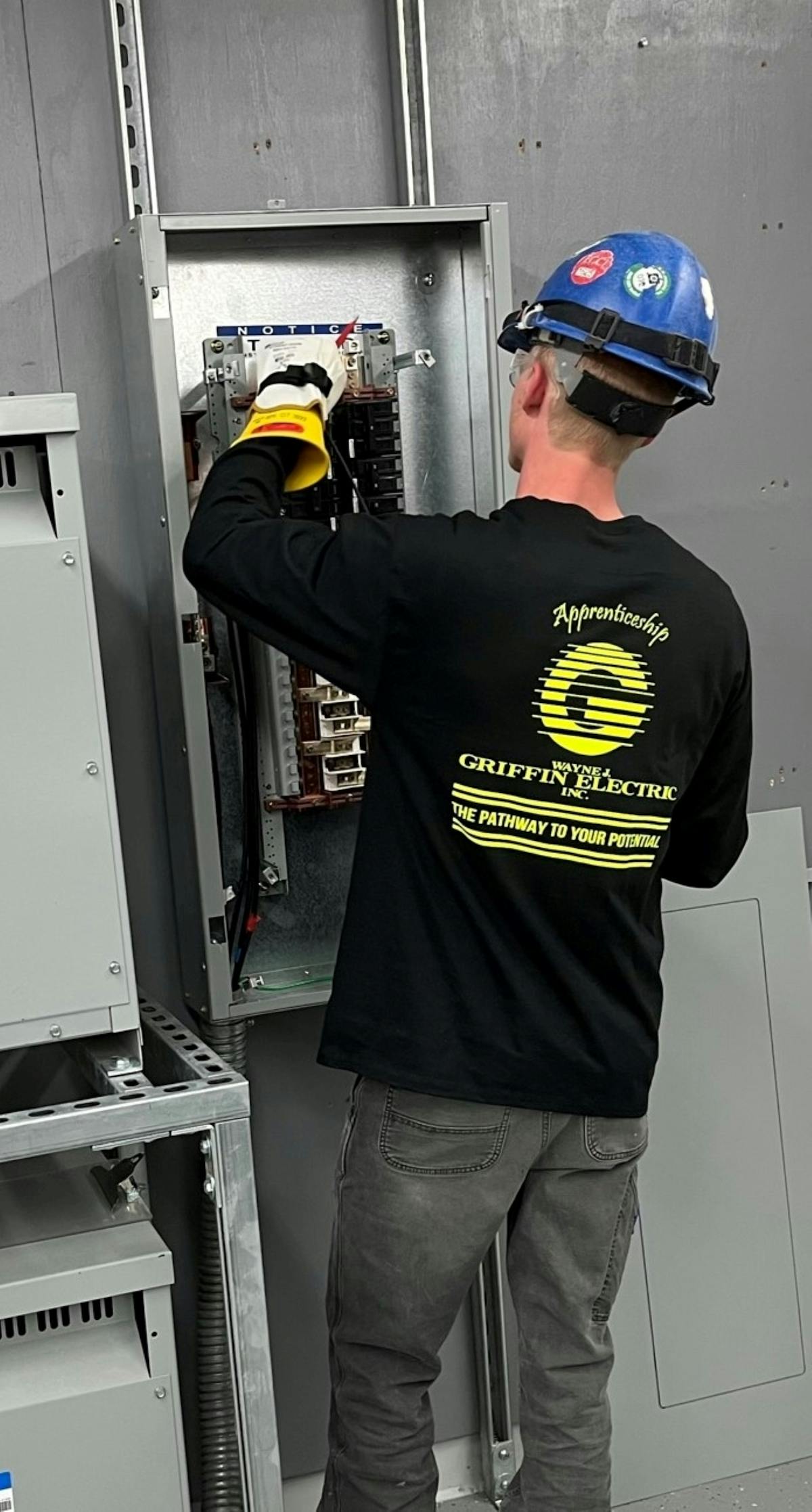 Griffin electric store