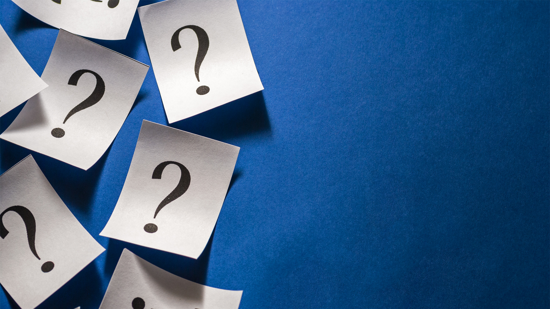 Photo 164352387 Sergii Gnatiuk Dreamstime 63b6fbf2ce0b0