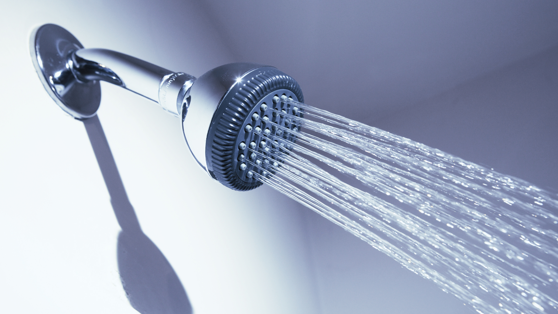 shower head