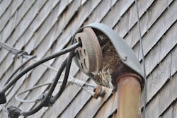 weatherhead with bird nest within weatherhead with bird nest within