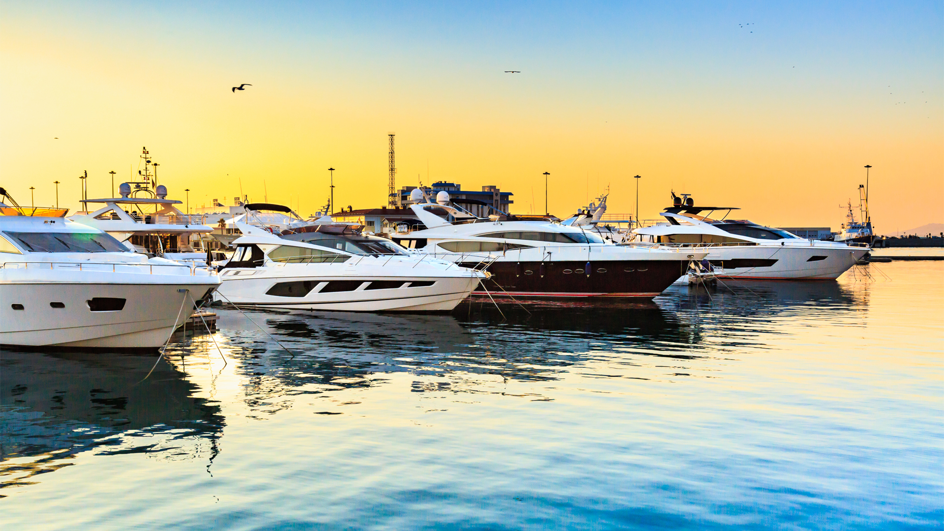 luxury yachts at sunset