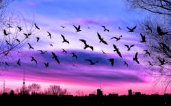 Dreamstime Xxl 86264468 651f15508c371 Dreamstime Xxl 86264468 651f15508c371