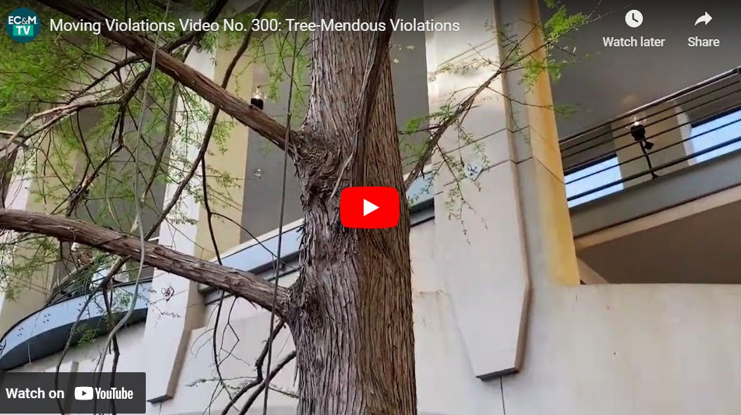 6570b560dd008b001eae583a Screenshot 20231206 114343