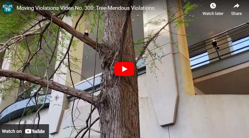 Moving Violations Video No. 300: Tree-Mendous Violations