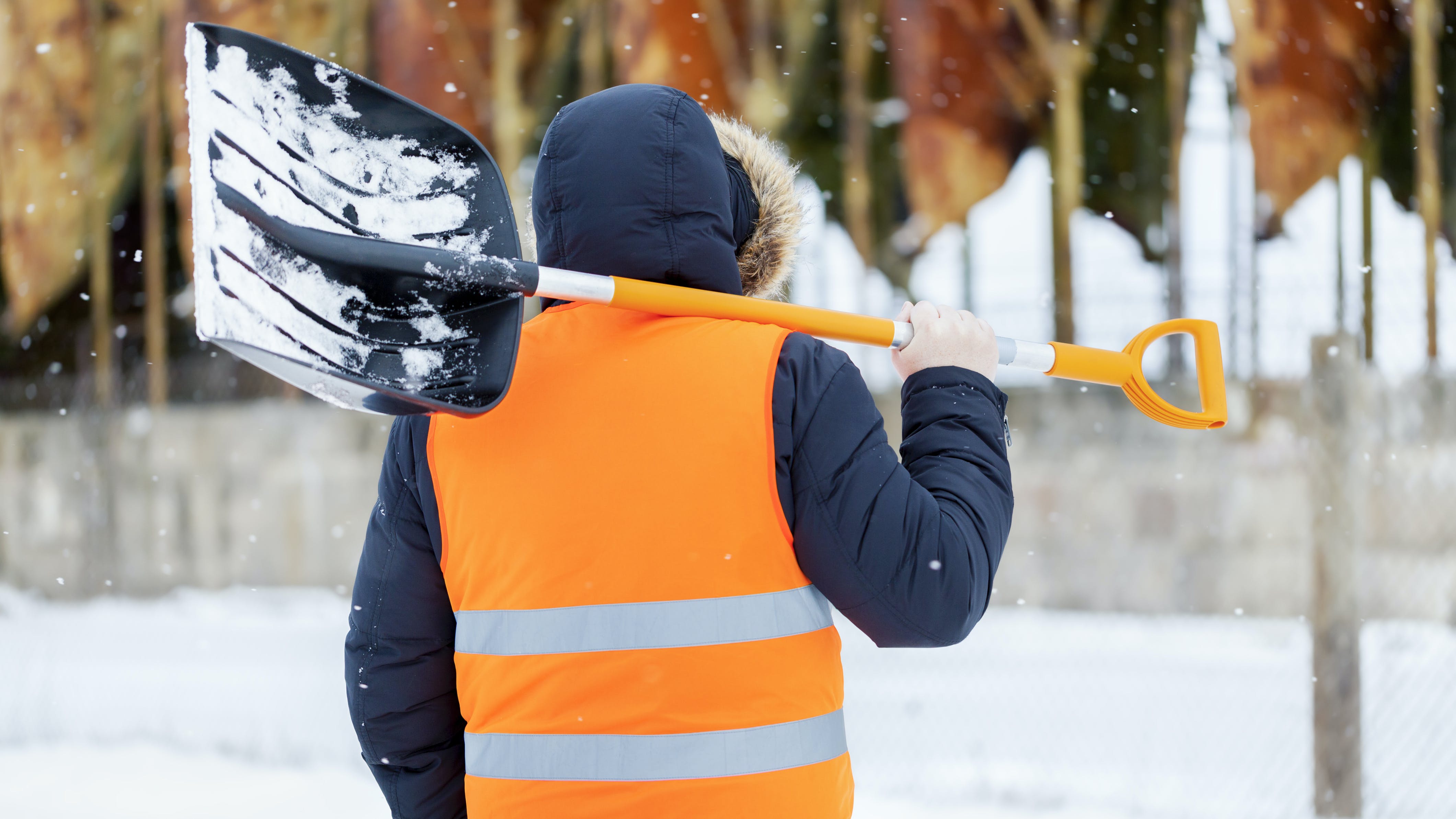 658c652f0440d9001ef3a9a2 Photo 67369264 Abc4foto Dreamstime