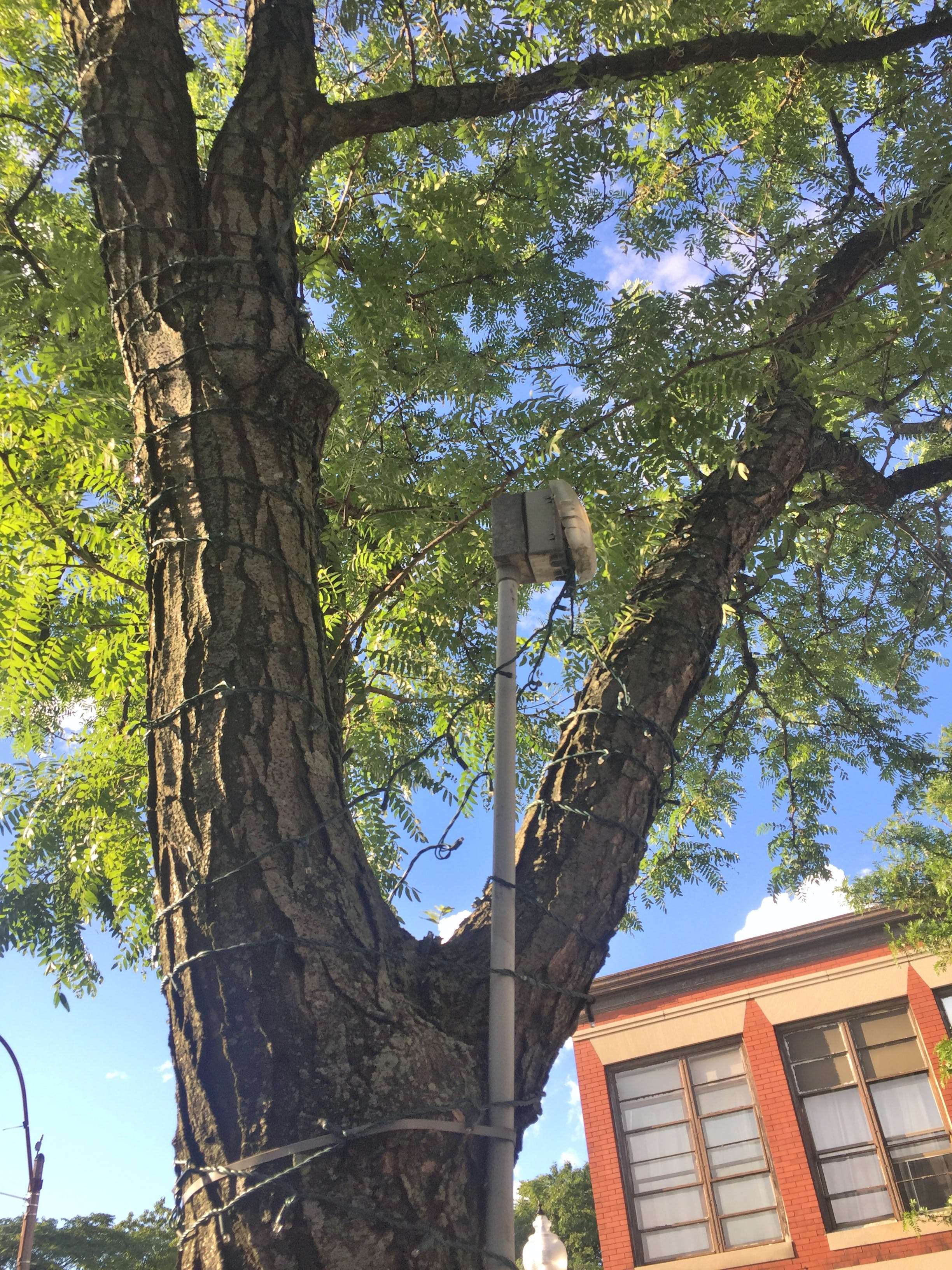 6594430ac1f59e001d838e29 Illustrated Catastrophe 1