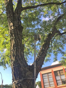 6594430ac1f59e001d838e29 Illustrated Catastrophe 1 6594430ac1f59e001d838e29 Illustrated Catastrophe 1