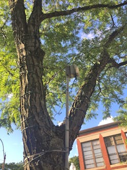 A permanent temporary installation A permanent temporary installation