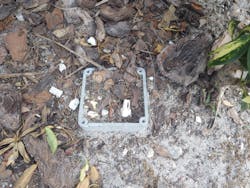 Danger underfoot Danger underfoot