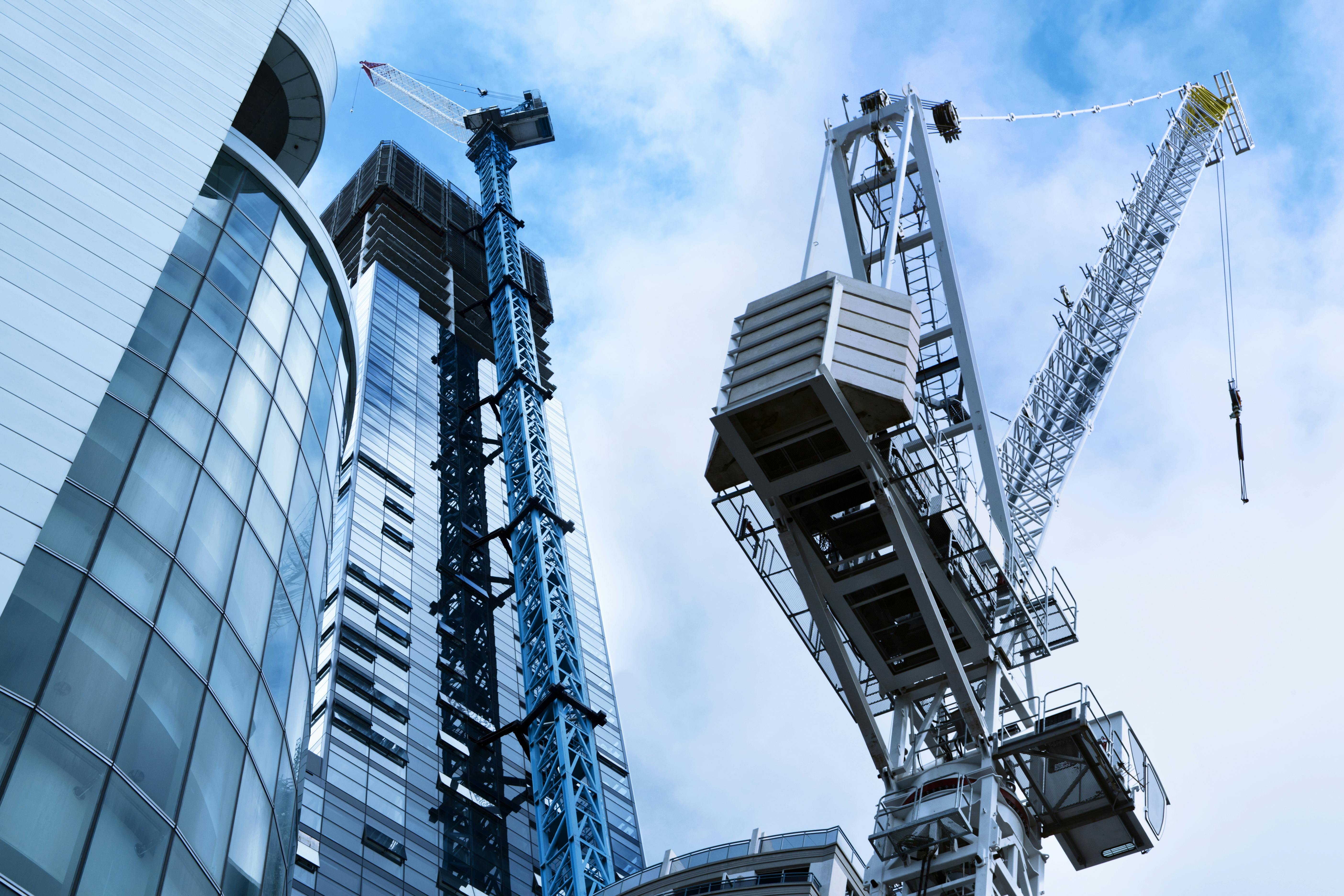 65afd98ce86c56001e304489 Dreamstime Xxl 37255648