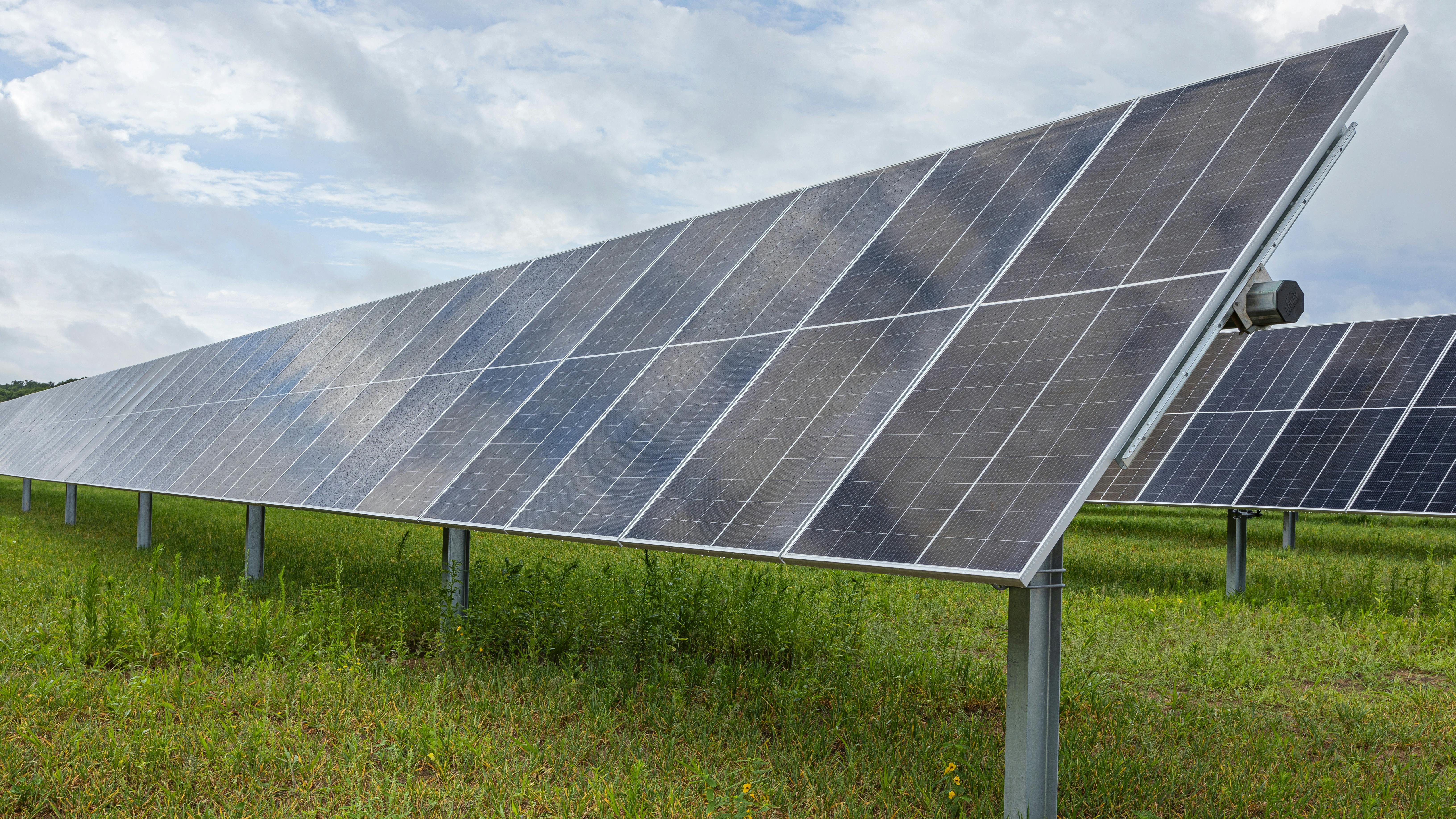 65b80729bdab16001e6f750d Solar Wautoma 017