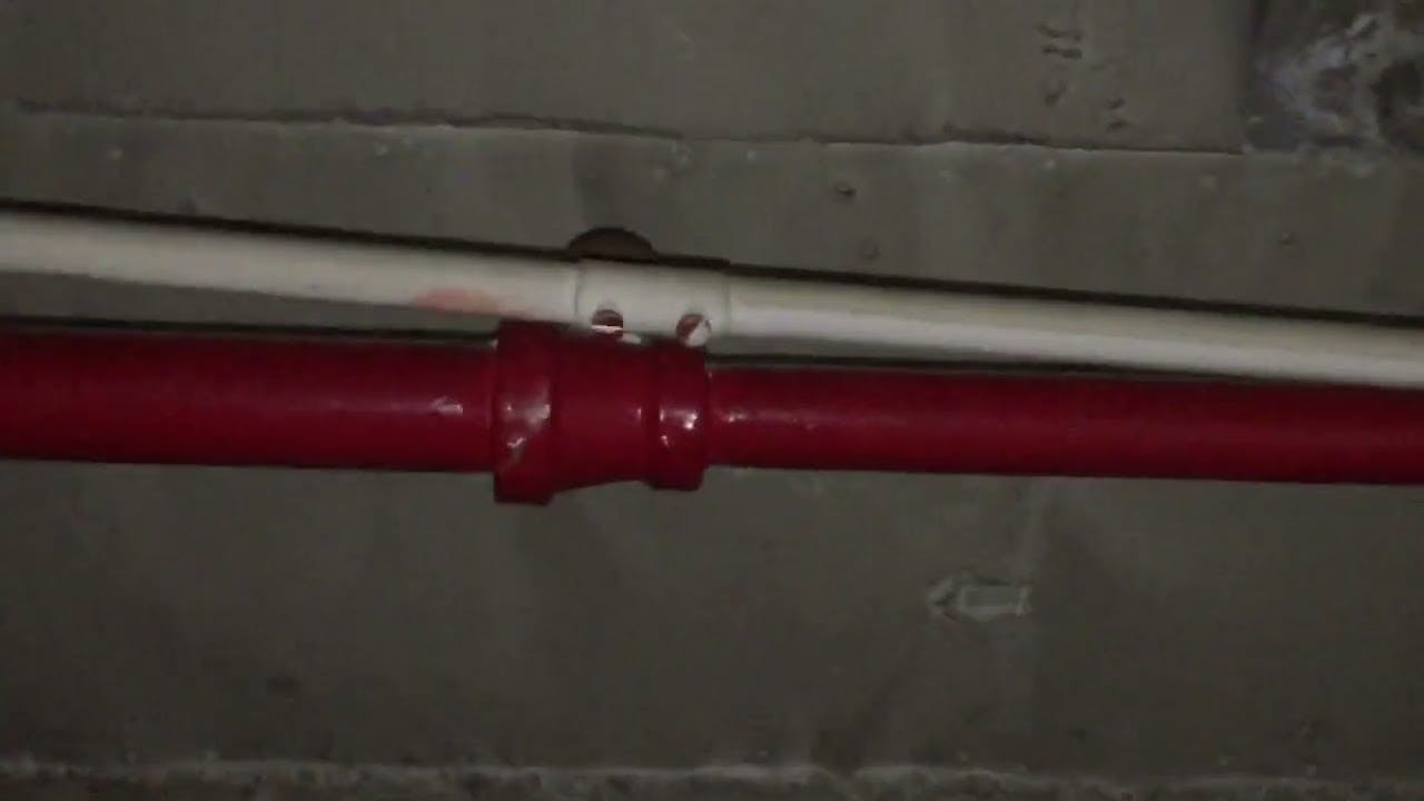 Moving Violations Video No