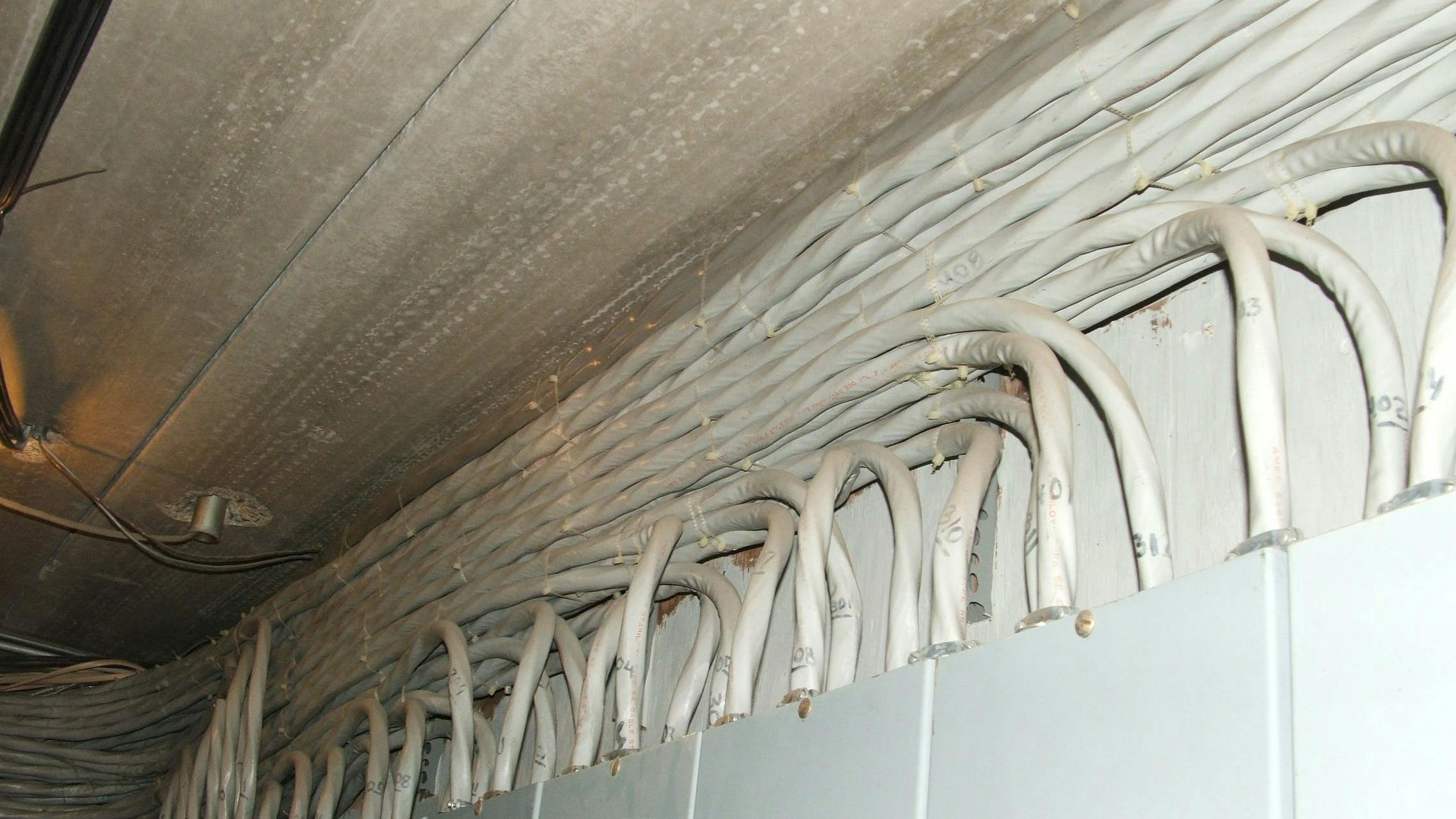 65b4121b76fe47001d3f03b4illustrated_catastrophe_1