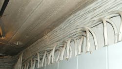 65ce28495fa24d001eb6241c 65b4121b76fe47001d3f03b4illustrated Catastrophe 1 65ce28495fa24d001eb6241c 65b4121b76fe47001d3f03b4illustrated Catastrophe 1