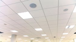 65e73832128135001eda33c2 Dreamstime M 136836480 65e73832128135001eda33c2 Dreamstime M 136836480