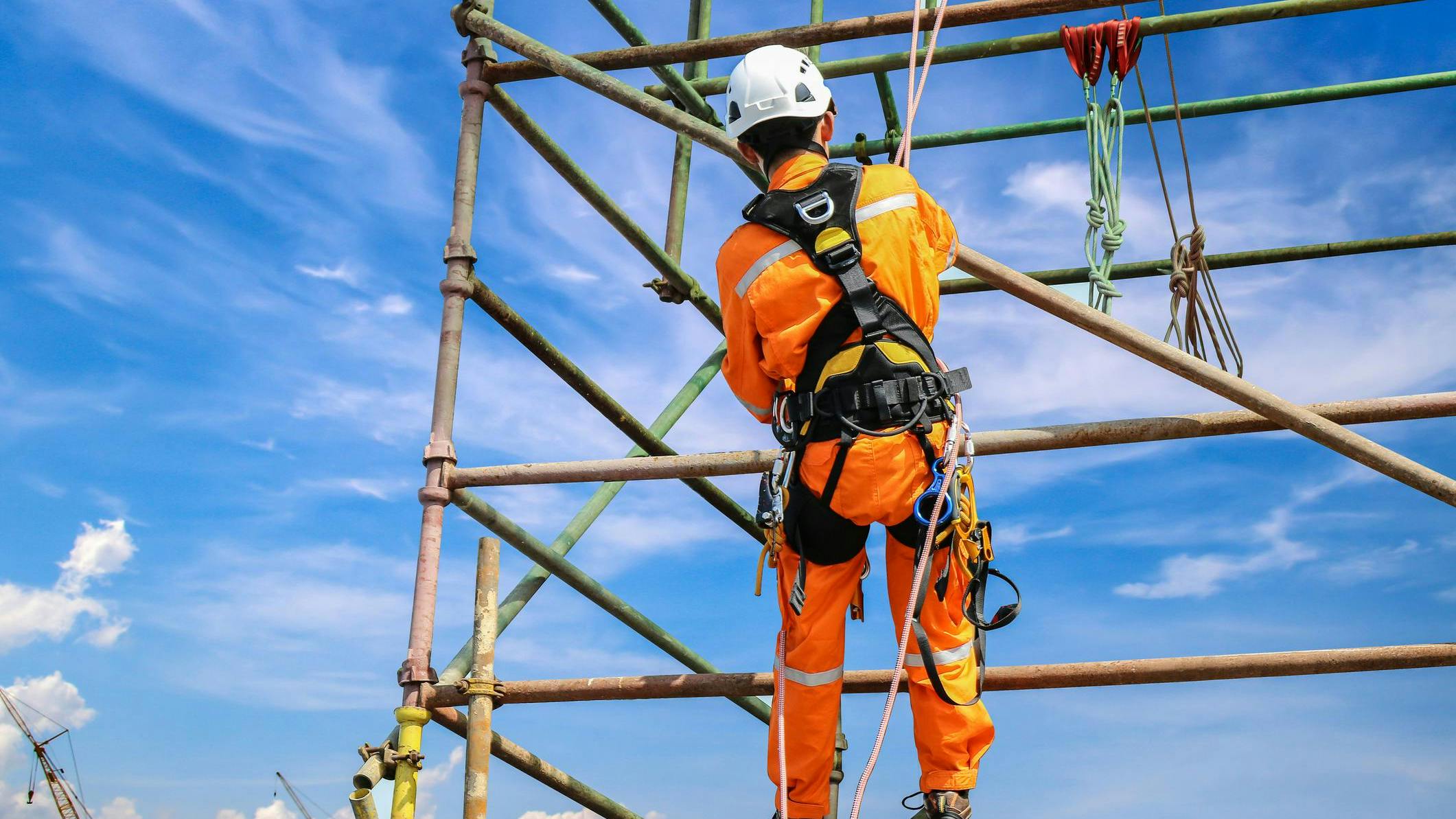 66216c7837a2f7001ed4819c Dreamstime M 104309348