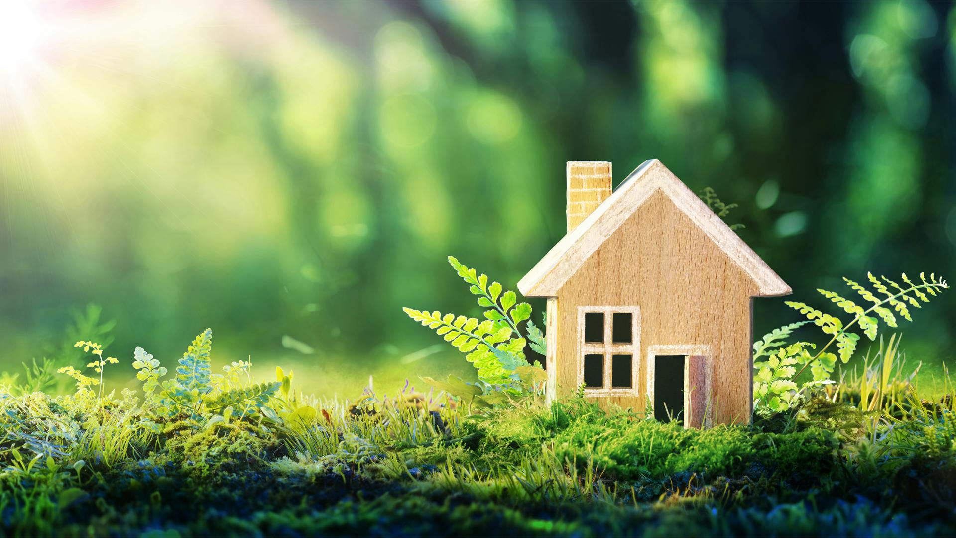 wooden house in forest