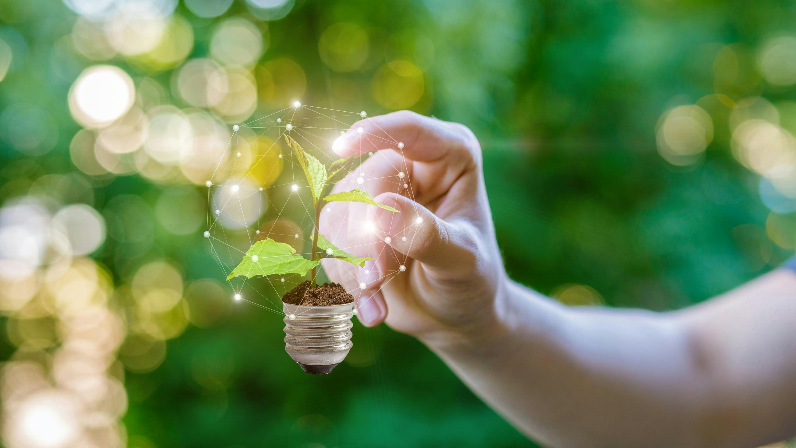 dreamstime_l_123482298