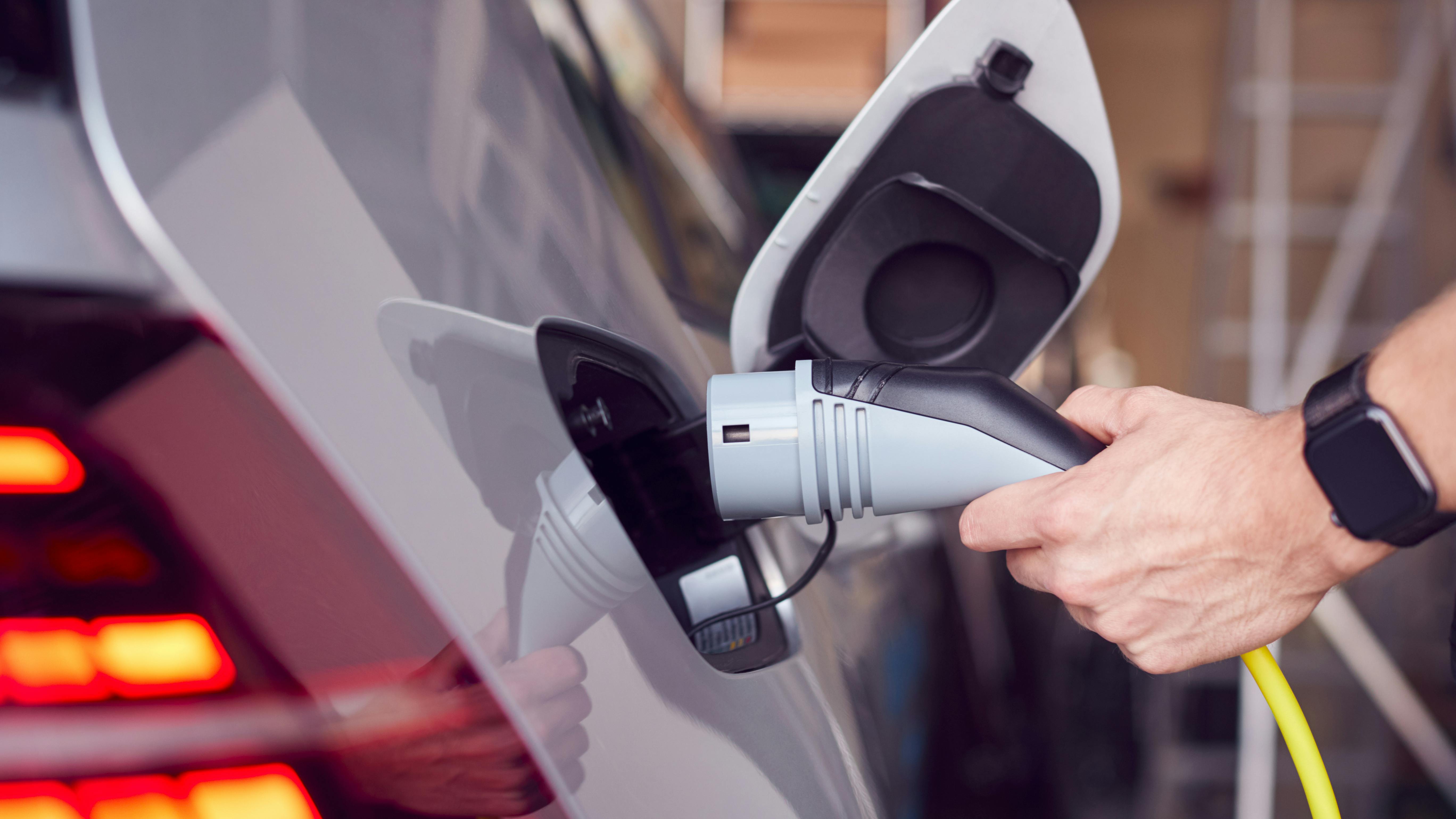 662917ad1cb8f0001e598071 Dreamstime Xxl 163729670