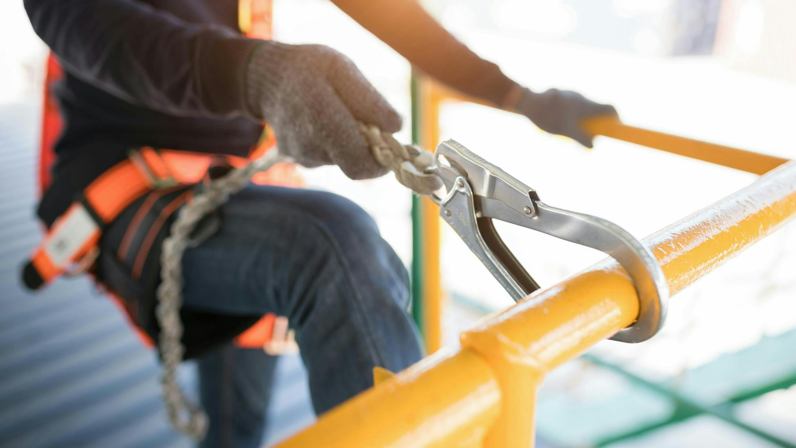 6634f29e293a780008c9cd93 Dreamstime L 186543908